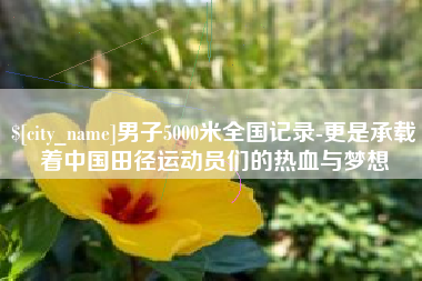 湘阴男子5000米全国记录-更是承载着中国田径运动员们的热血与梦想