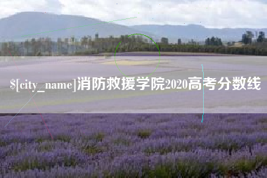 湘阴消防救援学院2020高考分数线