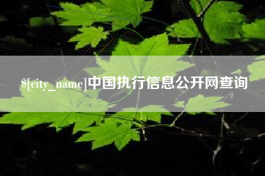 湘阴中国执行信息公开网查询