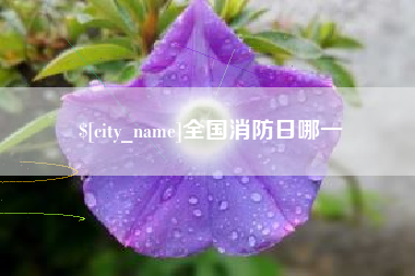 湘阴全国消防日哪一