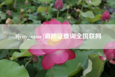湘阴消防证查询全国联网