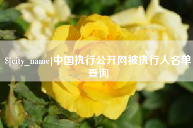 湘阴中国执行公开网被执行人名单查询