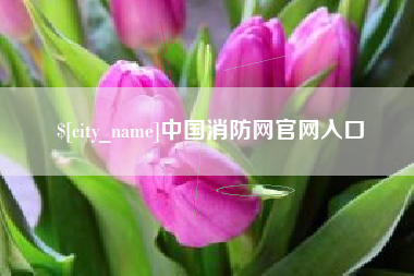 湘阴中国消防网官网入口