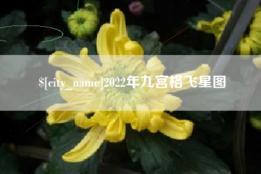 湘阴2022年九宫格飞星图