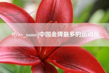 湘阴中国金牌最多的运动员