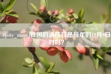 湘阴我国的消防日是每年的11月9日对吗？