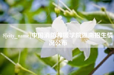 湘阴中国消防救援学院湖南招生情况公布