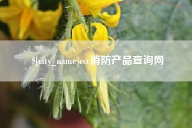 湘阴ccc消防产品查询网