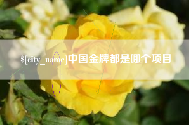 湘阴中国金牌都是哪个项目