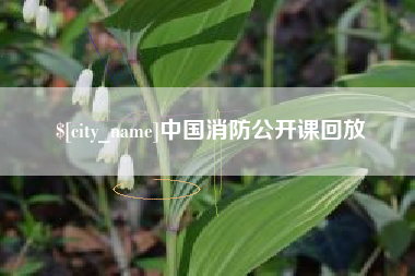 湘阴中国消防公开课回放
