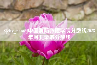 湘阴中国消防救援学院分数线2023年河北录取分数线
