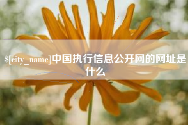 湘阴中国执行信息公开网的网址是什么