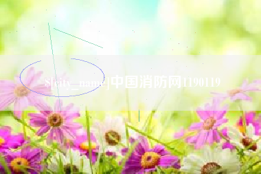 湘阴中国消防网1190119