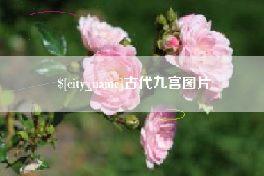 湘阴古代九宫图片
