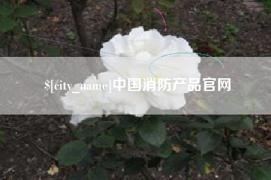 湘阴中国消防产品官网