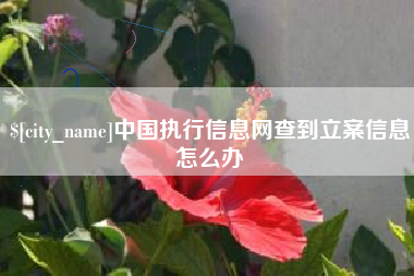 湘阴中国执行信息网查到立案信息怎么办