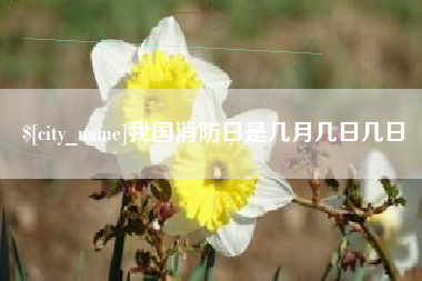 湘阴我国消防日是几月几日几日