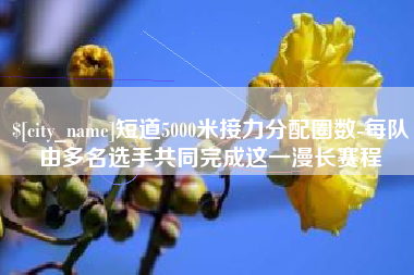 湘阴短道5000米接力分配圈数-每队由多名选手共同完成这一漫长赛程