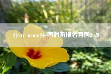 湘阴中国消防报名官网2020