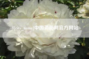 湘阴中国消防网官方网站