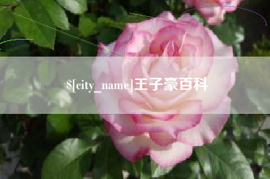 湘阴王子豪百科