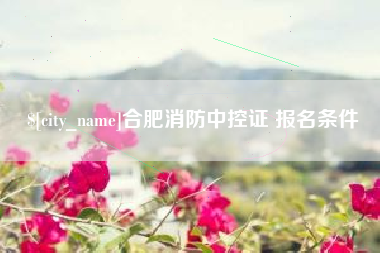 湘阴合肥消防中控证 报名条件