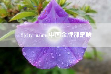 湘阴中国金牌都是啥