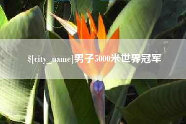 湘阴男子5000米世界冠军