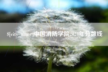 湘阴中国消防学院2024年分数线