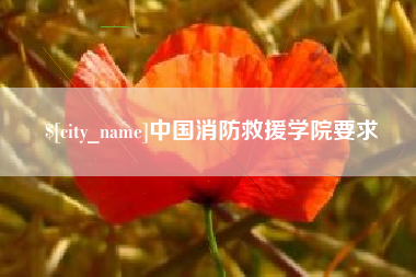 湘阴中国消防救援学院要求