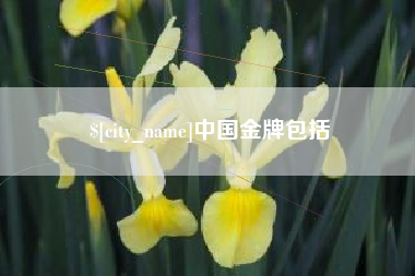 湘阴中国金牌包括