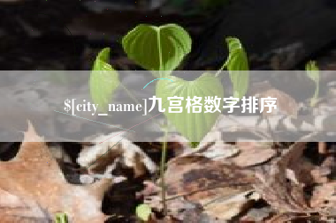 湘阴九宫格数字排序