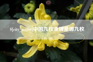 湘阴中国九枚金牌是哪九枚