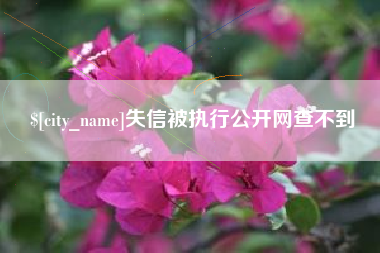 湘阴失信被执行公开网查不到
