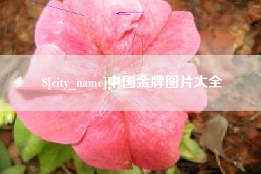湘阴中国金牌图片大全