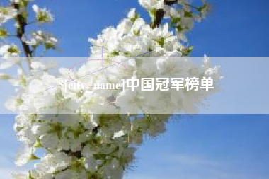 湘阴中国冠军榜单