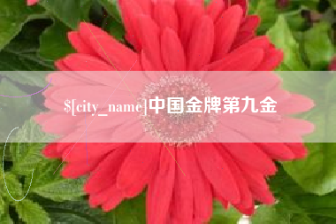 湘阴中国金牌第九金