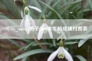 湘阴男子5000米年龄成绩对照表