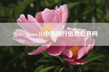 湘阴1.中国执行信息公开网