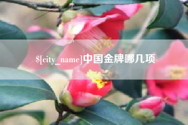 湘阴中国金牌哪几项