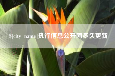 湘阴执行信息公开网多久更新
