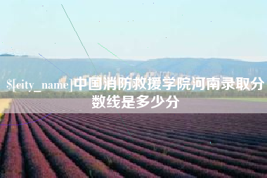 湘阴中国消防救援学院河南录取分数线是多少分