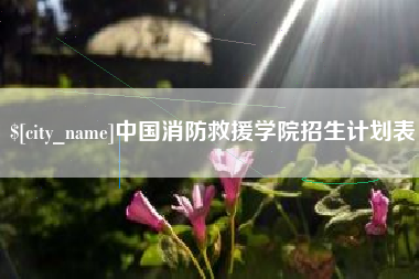 湘阴中国消防救援学院招生计划表