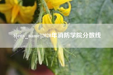 湘阴2020年消防学院分数线