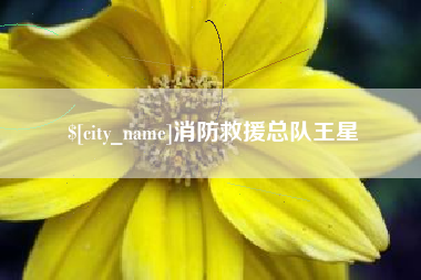 湘阴消防救援总队王星