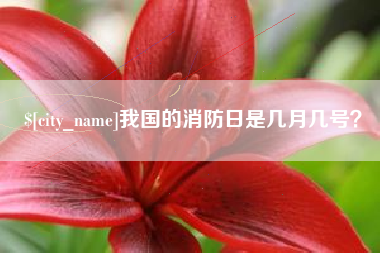 湘阴我国的消防日是几月几号？