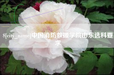 湘阴中国消防救援学院山东选科要求