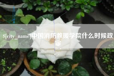 湘阴中国消防救援学院什么时候政审