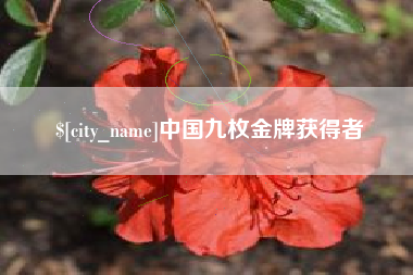 湘阴中国九枚金牌获得者