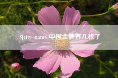 湘阴中国金牌有几枚了